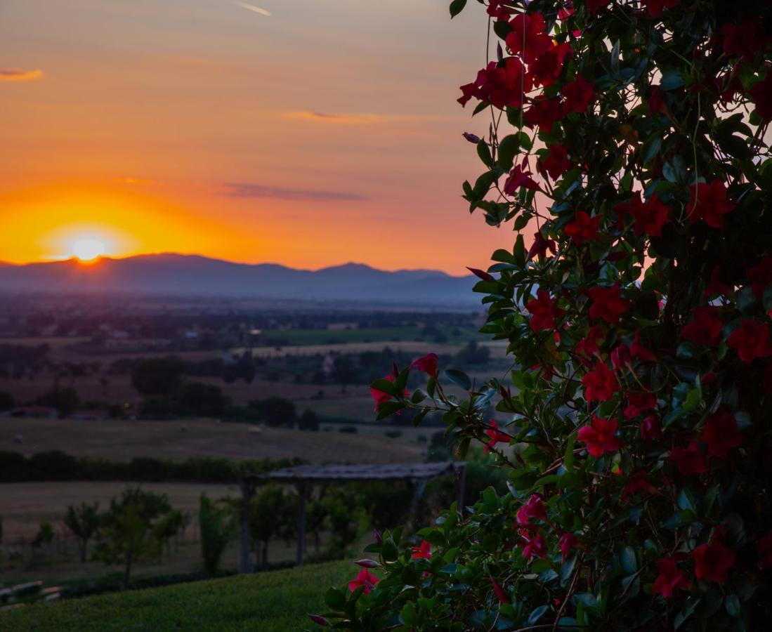 Podere N.8 Bio Casale Maremma Alberese Εξωτερικό φωτογραφία